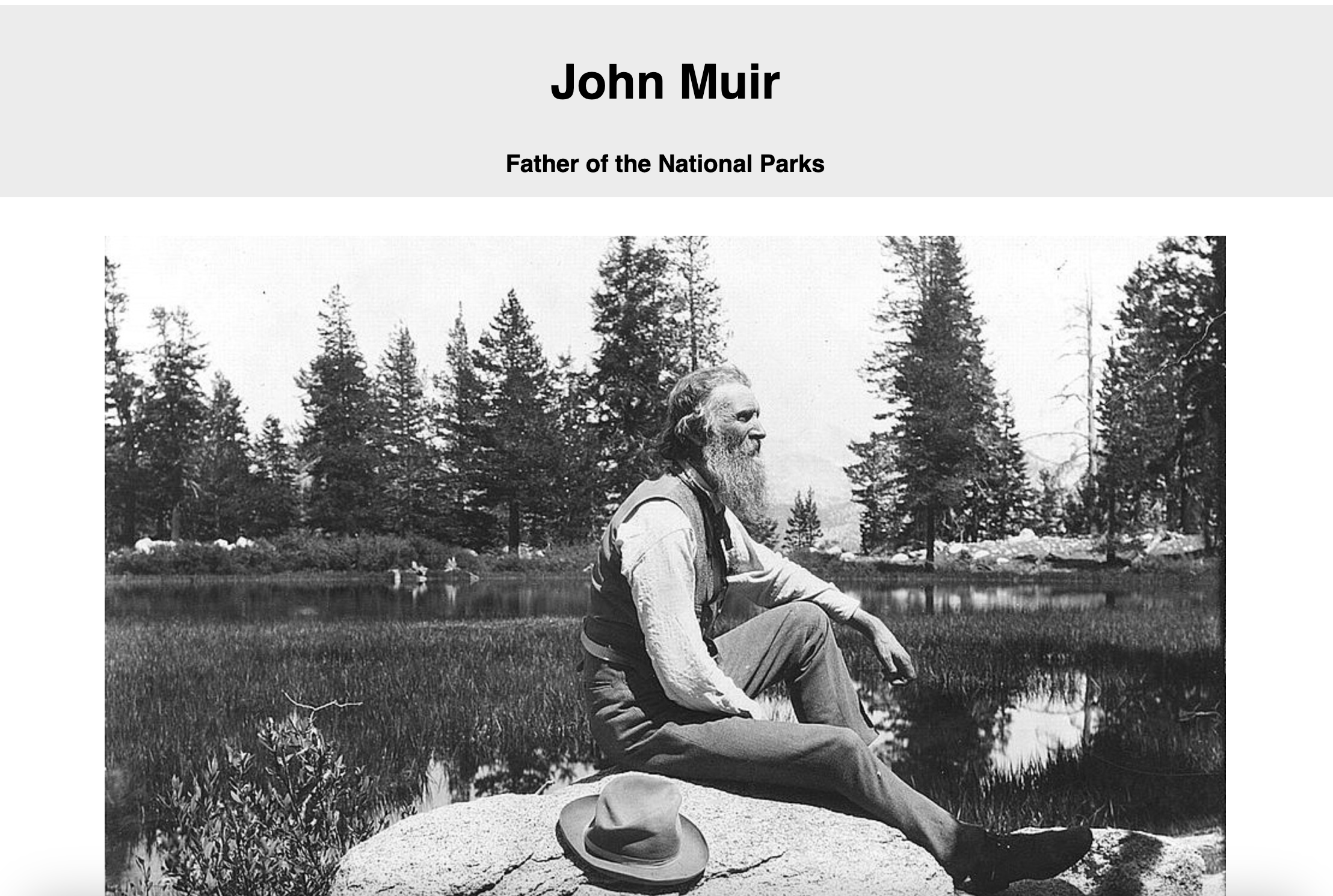 Tribute Page screenshot